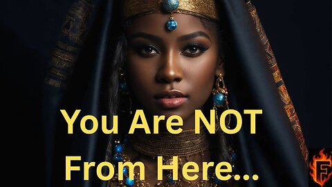 You Were Never Human... That's Why Nothing Makes Sense