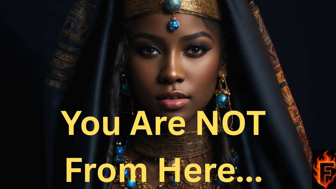 You Were Never Human... That's Why Nothing Makes Sense