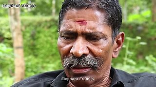 ഇടത്തൊട്ടി സുകുമാരൻ പൊന്നേട്ടനെ കുത്തി വിറപ്പിച്ച് സിങ്കം_ Onakkoor Ponnan _ Elephant Frames_ PART 5