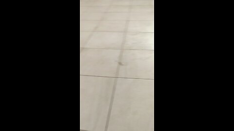 Feminist trolls target topless dresscodes