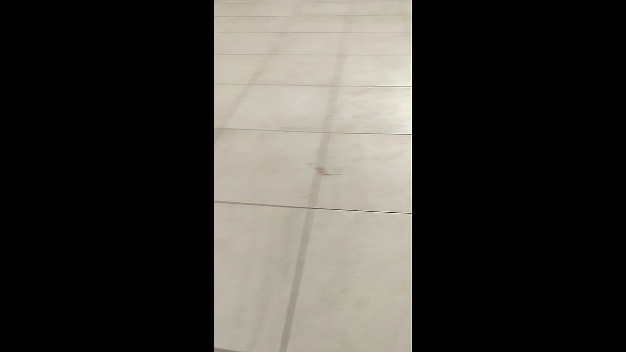 Feminist trolls target topless dresscodes