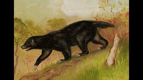 Giant ratel