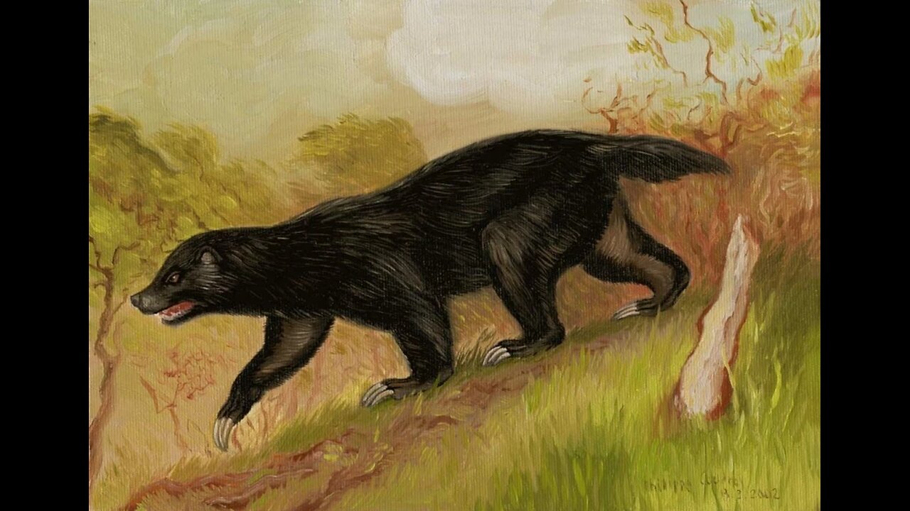 Giant ratel