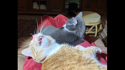 Episode 3027 CWSA 11/23/25