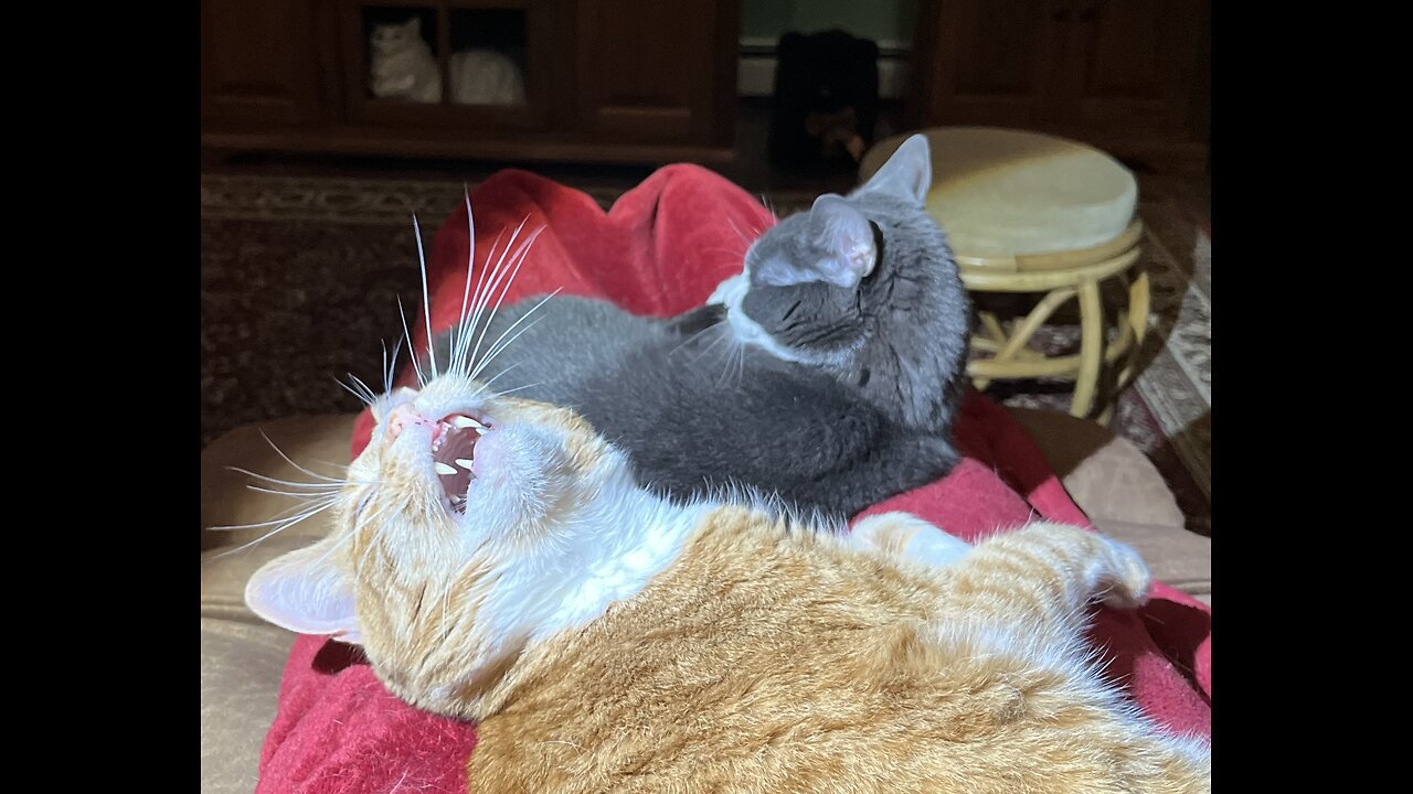 Episode 3027 CWSA 11/23/25