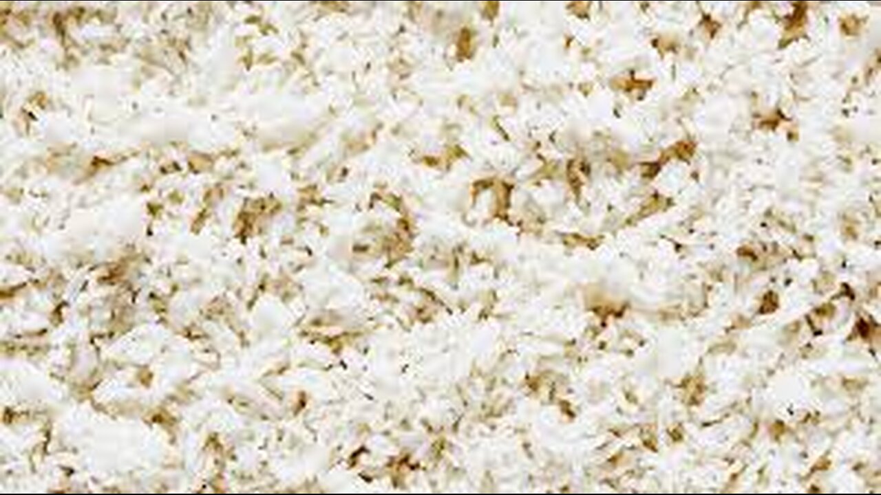 Bananas Rice & SUGAR!!!
