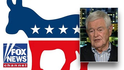 ‘NO ROOM LEFT’ for moderates in Democratic party, Newt Gingrich advises this