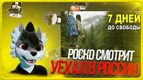 🐺 Роско смотрит Volkmix Bushcraft Побег из Украины в Россию Предлагали работать в ТЦК Переплыл Тису