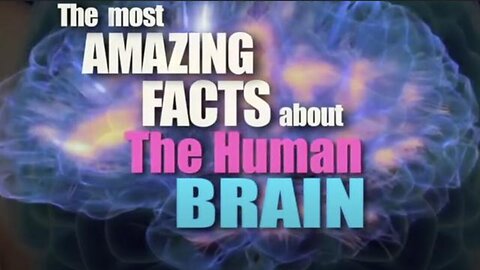 "Elite Gender Inversion & The Brain: A Documentary by Jon Humanity (May 31, 2017)"