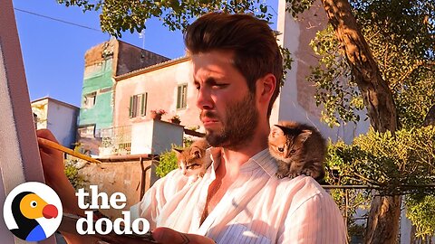 Rescue Kittens Live On Dad's Shoulders Now | The Dodo