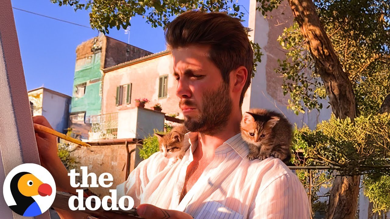 Rescue Kittens Live On Dad's Shoulders Now | The Dodo