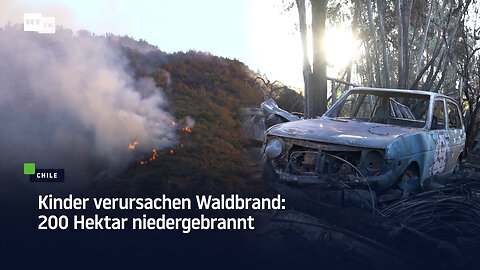 Kinder verursachen Waldbrand: 200 Hektar niedergebrannt