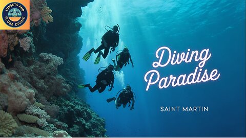 The Hidden World of Scuba Diving in Saint Martin