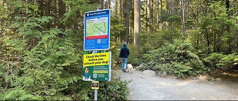 Off-Leash Dog Access at Bert Flinn Park - www.tricitylocalnews.com