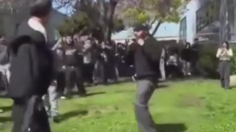 Stop the fight!