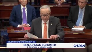 Schumer's proposed shutdown negotiation
