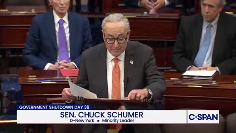 Schumer's proposed shutdown negotiation