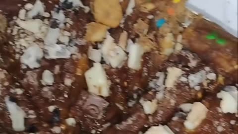 Prison Pie Final Results