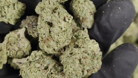 THC-A Flowerer Candyland