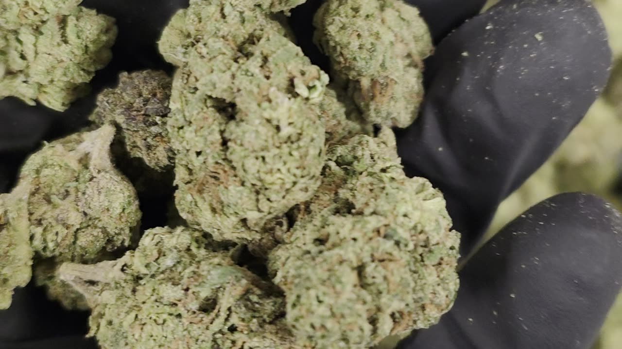 THC-A Flowerer Candyland