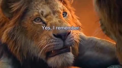 Animation movie #lion #junglebook #lion