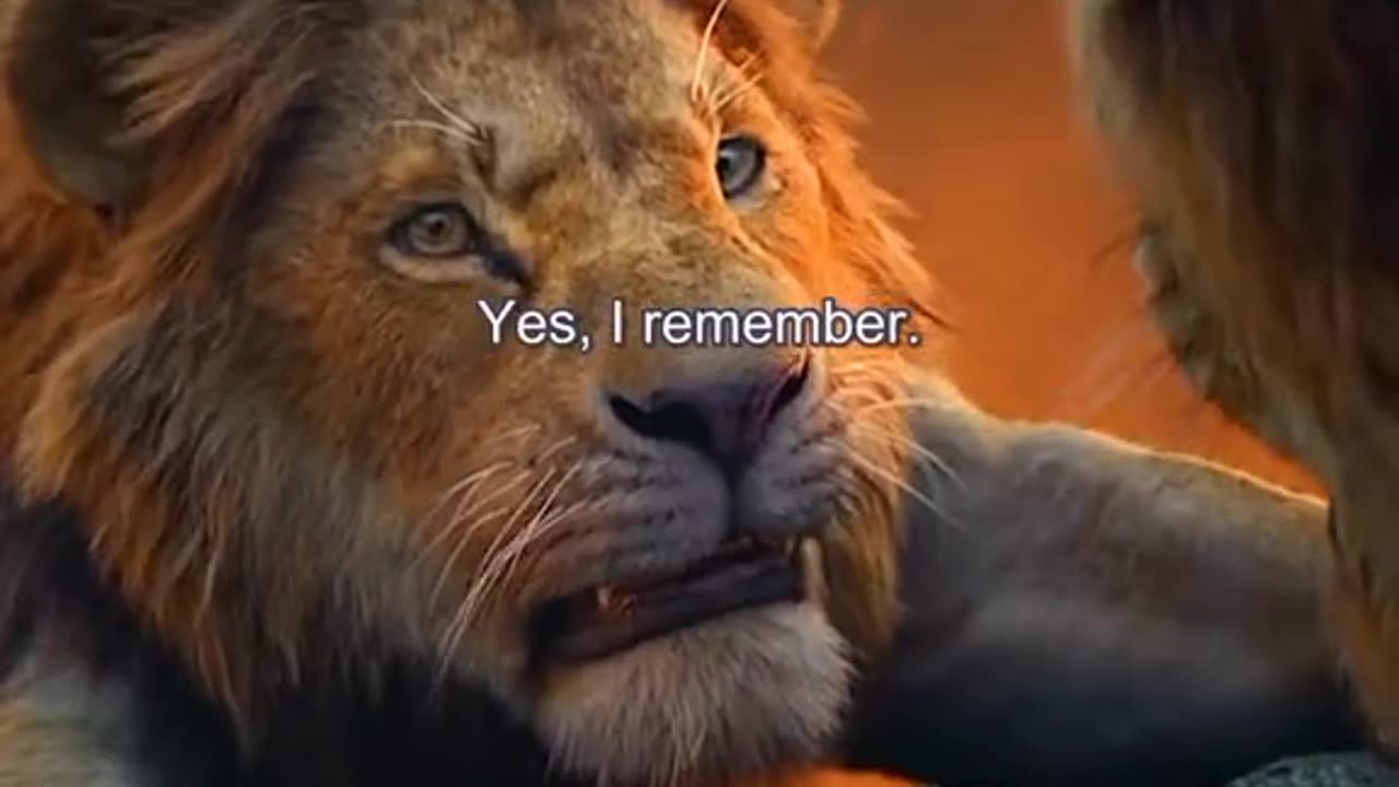 Animation movie #lion #junglebook #lion