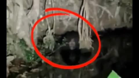 Creepy Ghost Encounter Caught on Surveillance Camera