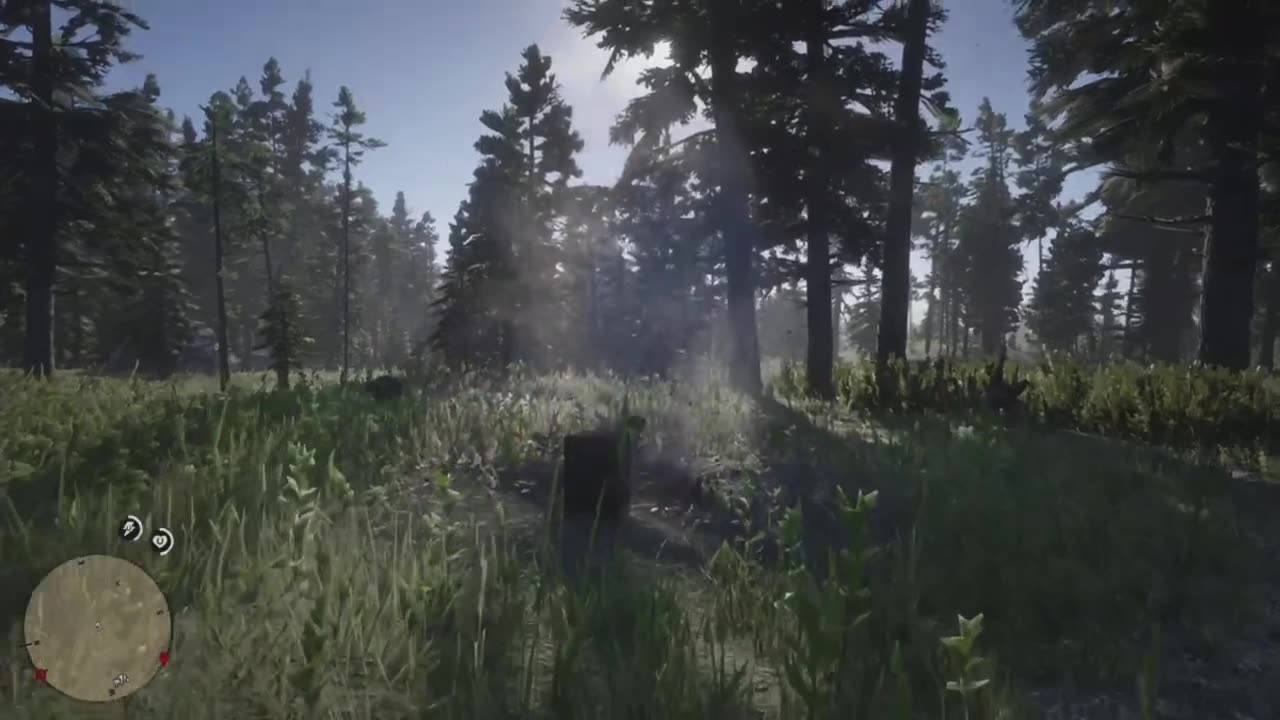 RDR 2 - “Their risk my reward”
