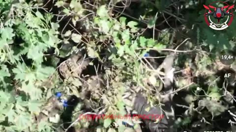 Ukraine war combat footage 8/12/25