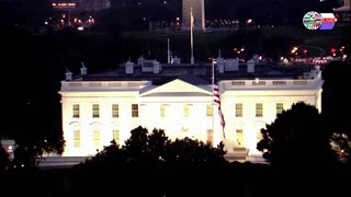 TWO CATS U.S. POLITICAL NEWS