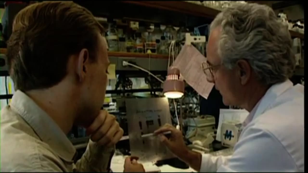 Positively False - Birth of a Heresy - HIV AIDS