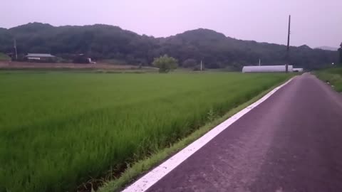 Vlog) Healing video/ 힐링 영상 #Korea #farm #summer #bike #cruise