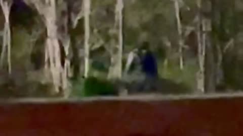 Cannon Creek Bigfoot Footage near Kentucky Ridge Forest