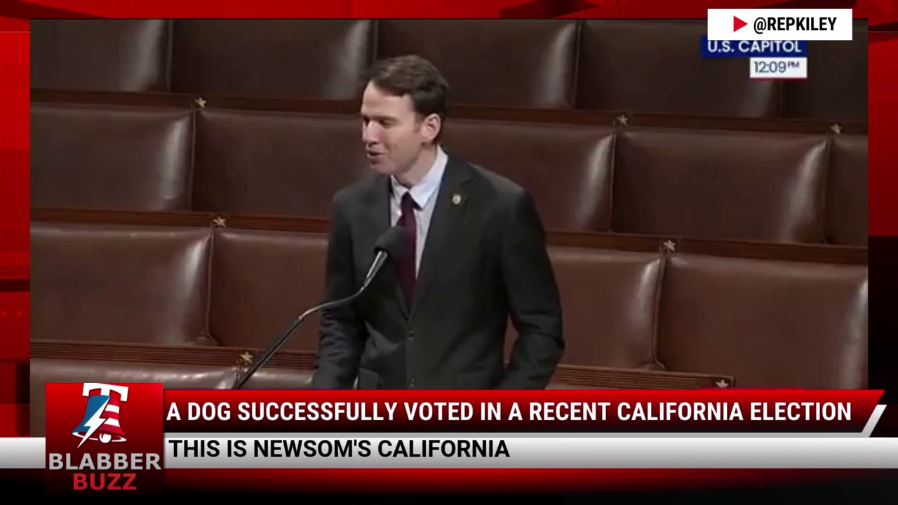 A Dog Successfully Voted In A Recent California Election