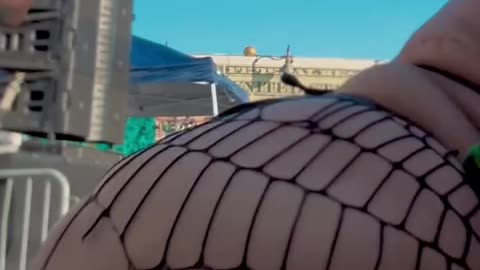 Carnival Twerk