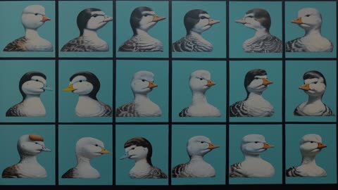 The Definition of Ducksh