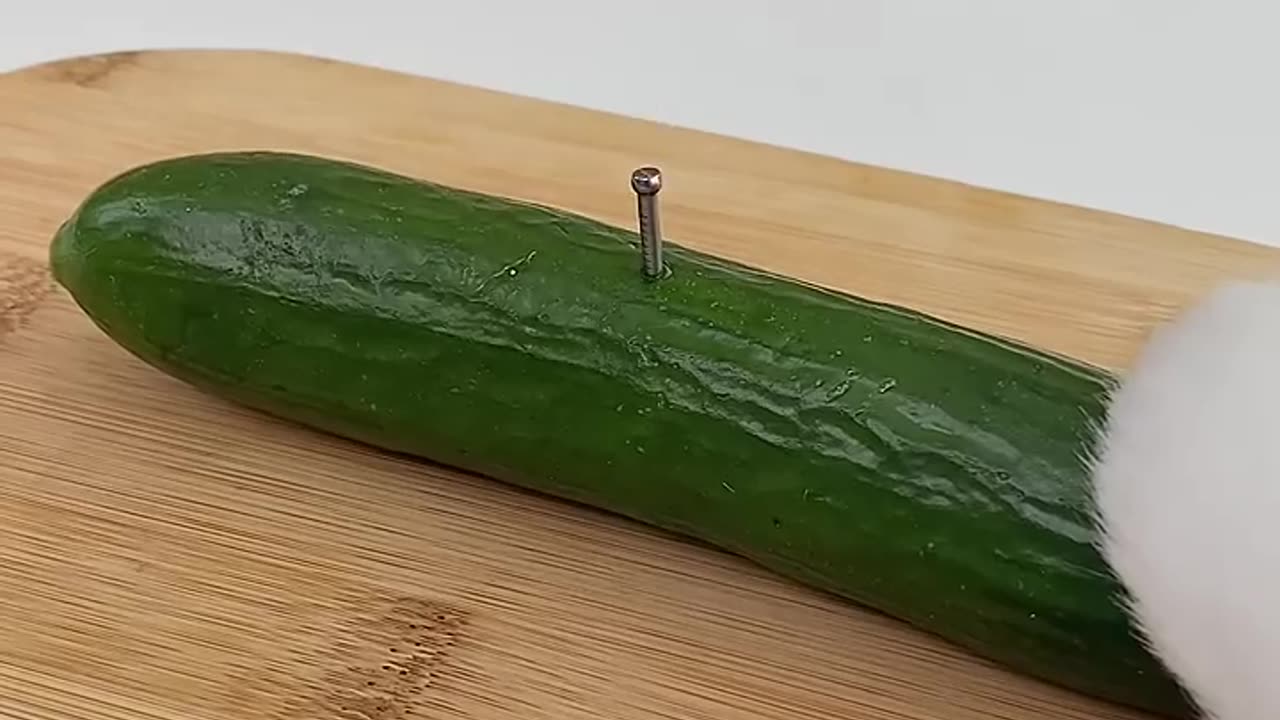 cute cat video
