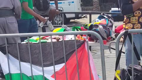 Palestine at the 58th Annual New York Carnival Parade.