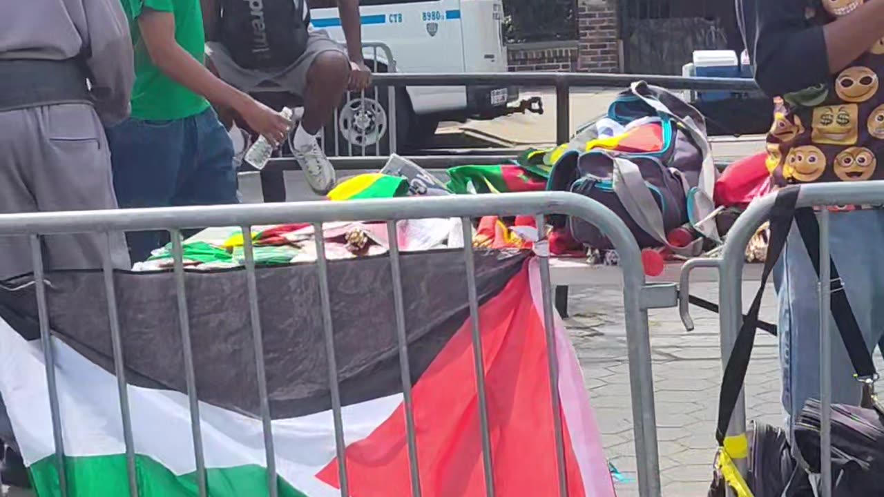 Palestine at the 58th Annual New York Carnival Parade.