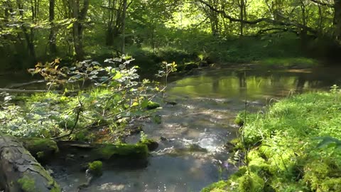 Stone in Flow: a river, a sound stone - Hannes Fessmann
