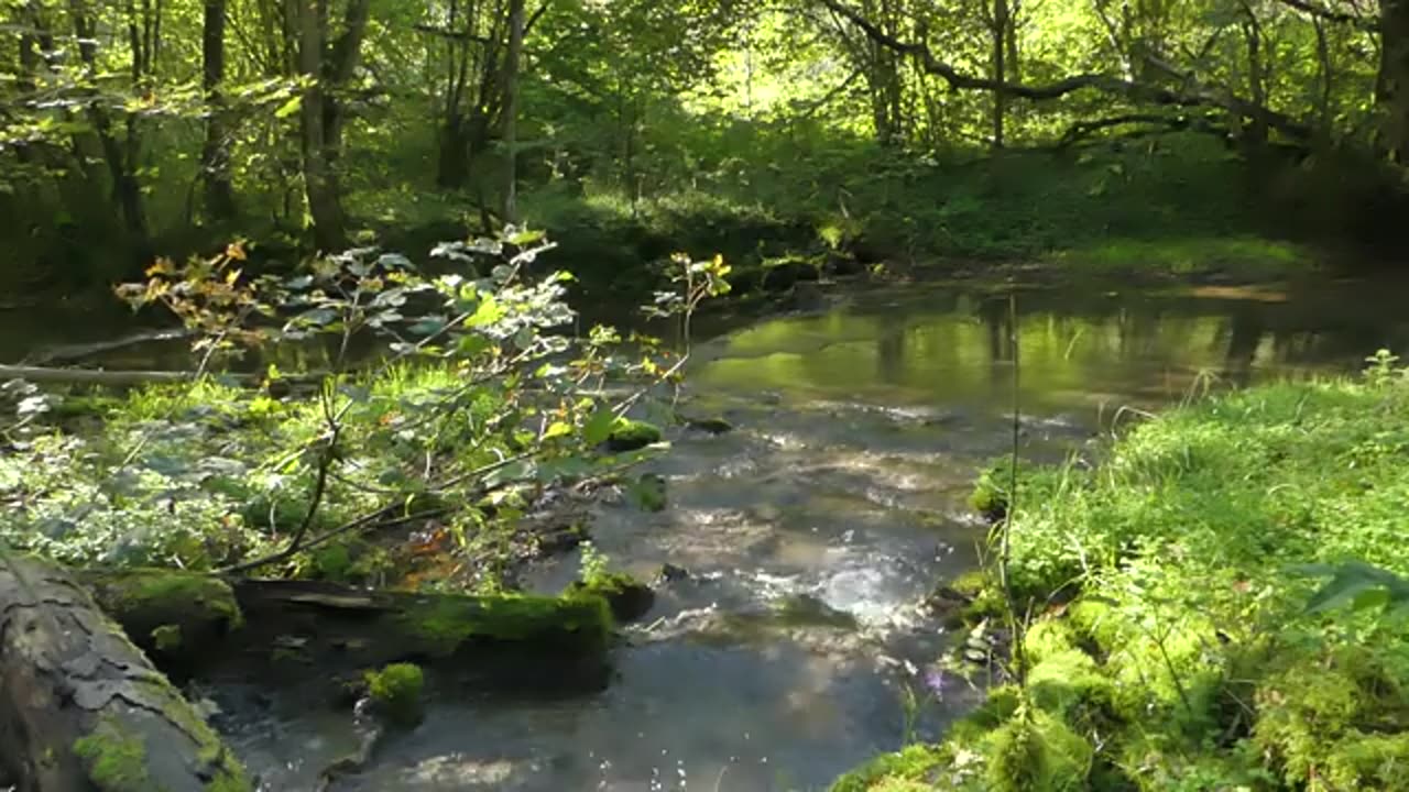 Stone in Flow: a river, a sound stone - Hannes Fessmann