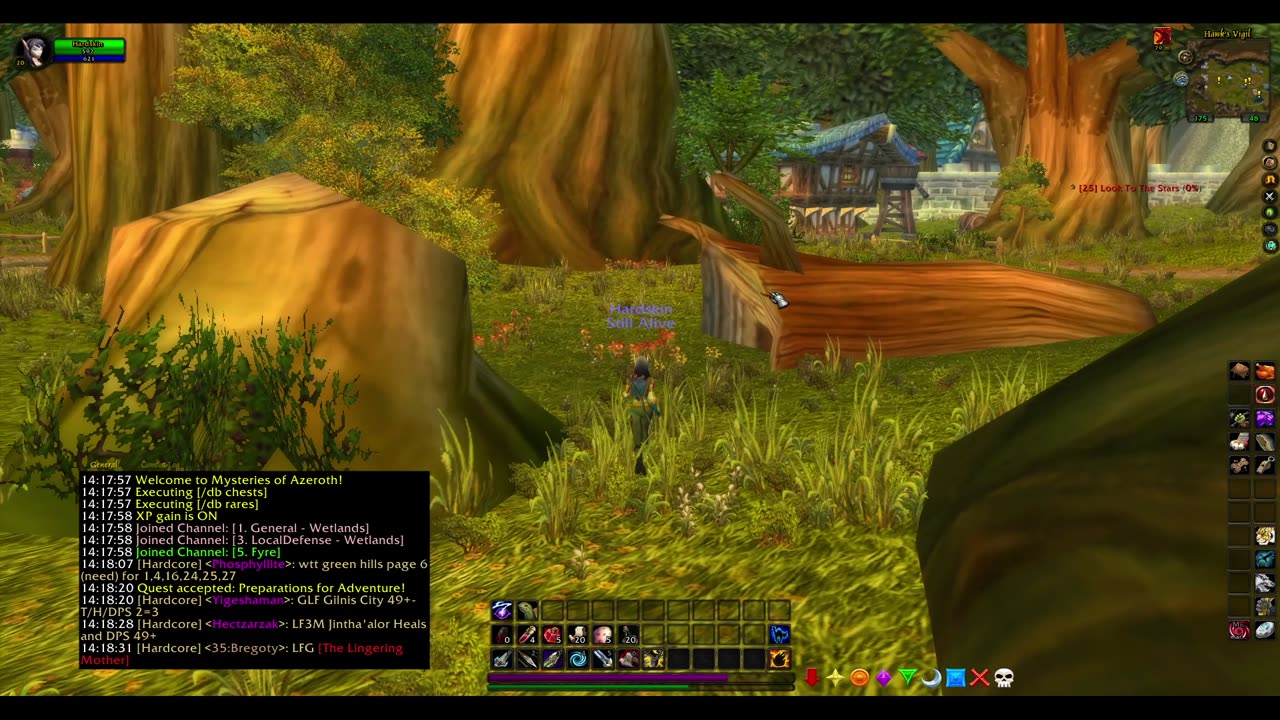 Turtle wow - Melee HC Slow and Steady Hunter - Part 22 - No commentary