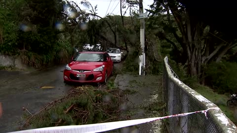 New Zealand capital hit by strongest storm and winds in a decade