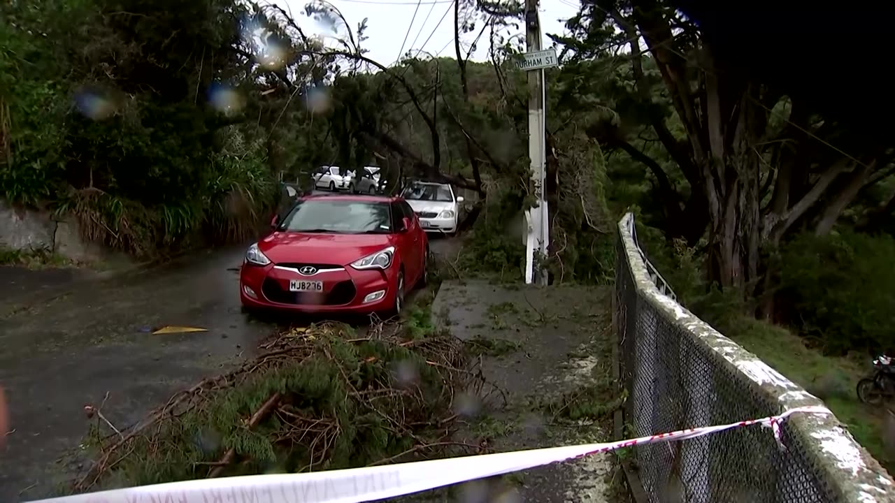 New Zealand capital hit by strongest storm and winds in a decade