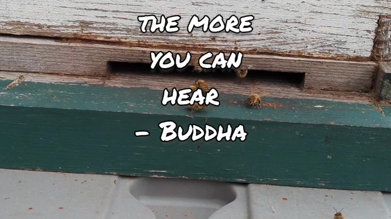 Daily quotes 21