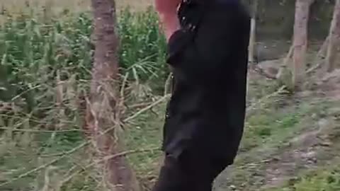 #FunnyDogs #DogLaughs #PetFails #ViralVideo #DogCompilation #DogLovers #2025Humor