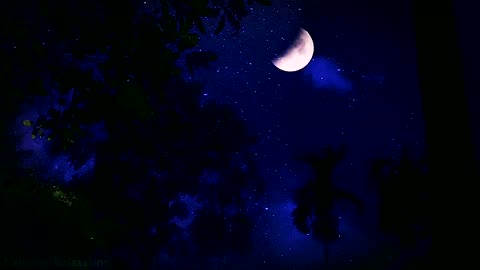 Nature's Night Lullaby - Fall Asleep Naturally and Conquer Insomnia