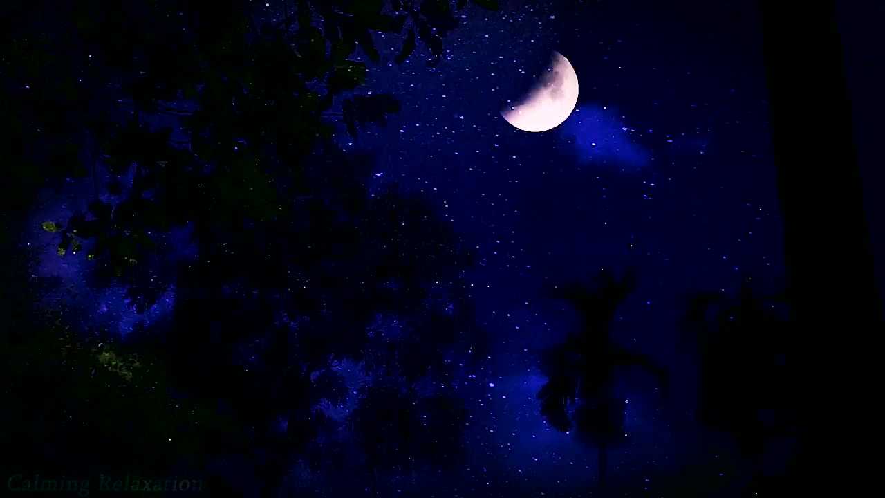 Nature's Night Lullaby - Fall Asleep Naturally and Conquer Insomnia