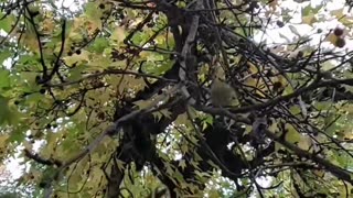 The people ate junk food.