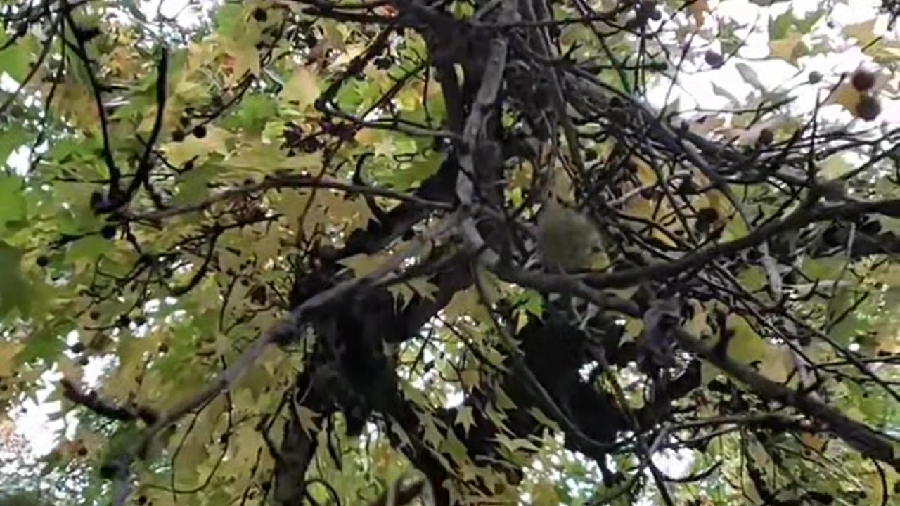 The people ate junk food.